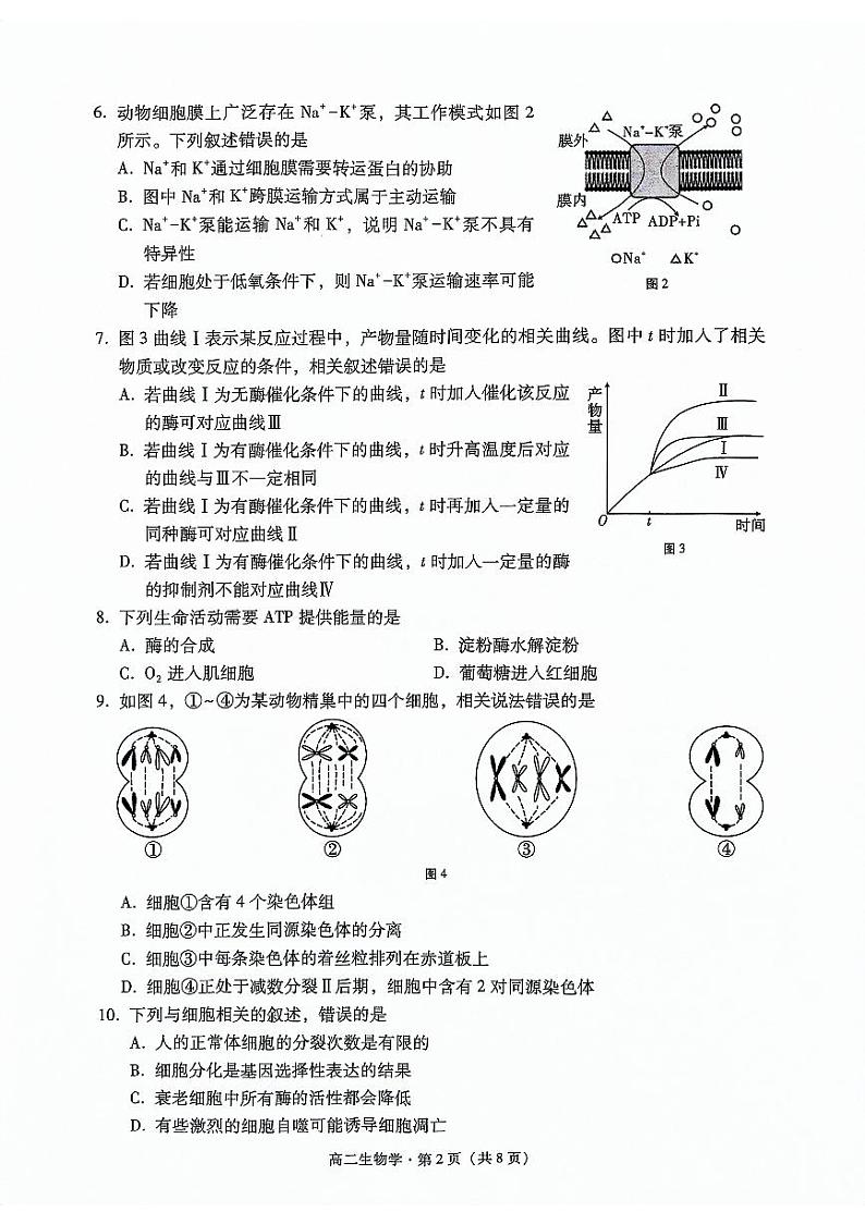云南省大理白族自治州2023-2024学年高二上学期1月期末生物试题第2页