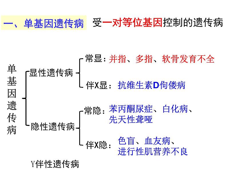 5.3 人类遗传病-【生物PPT课件】2023-2024学年高中生物必修二同步PPT课件06