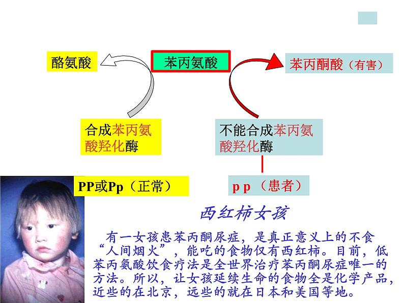 5.3 人类遗传病-【生物PPT课件】2023-2024学年高中生物必修二同步PPT课件08