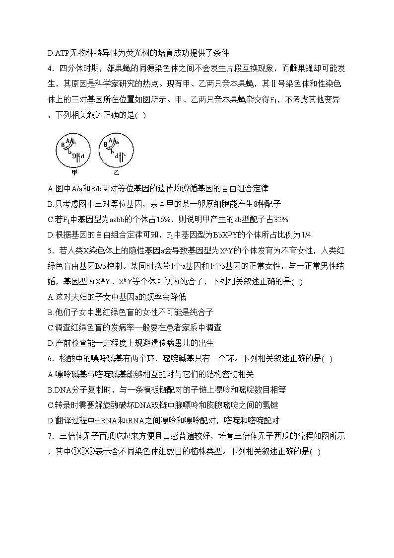 安徽省大联考2023-2024学年高二上学期阶段性测试（一）生物试卷(含答案)第2页