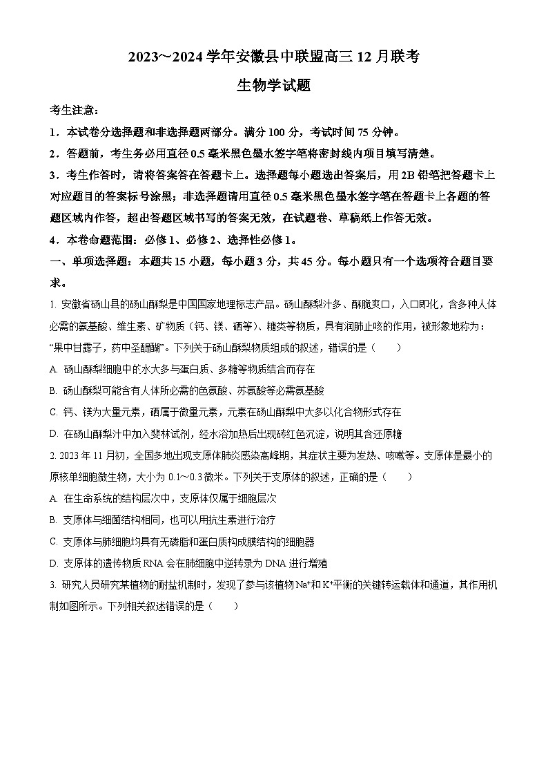 2024安徽省县中联盟高三上学期12月联考生物试题含解析01