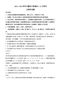 2024安徽省县中联盟高三上学期12月联考生物试题含解析