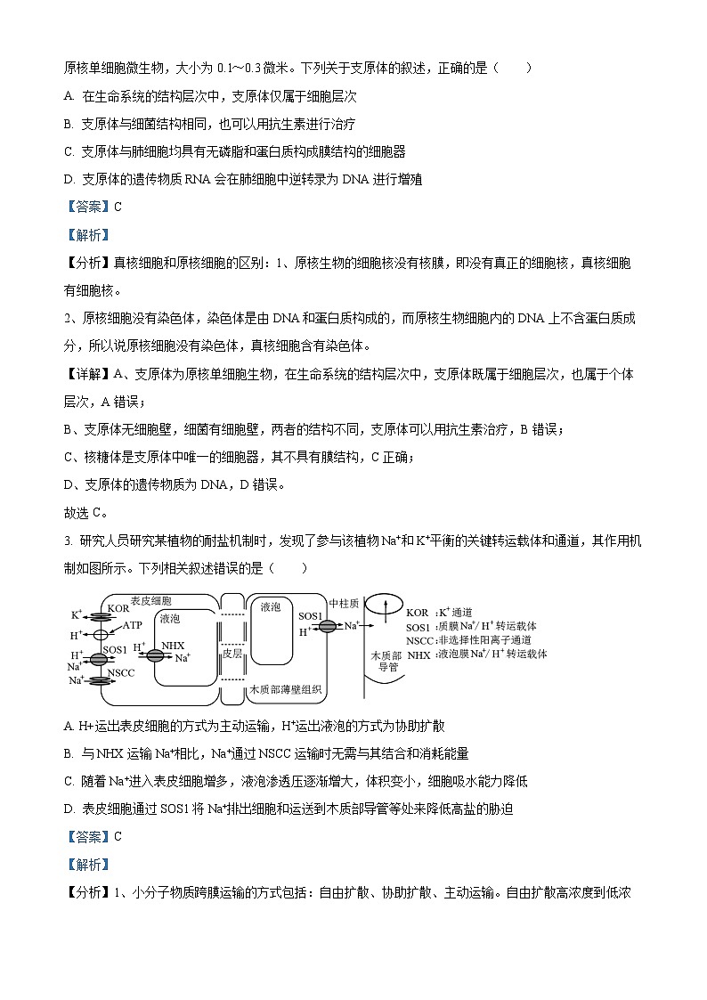 2024安徽省县中联盟高三上学期12月联考生物试题含解析02
