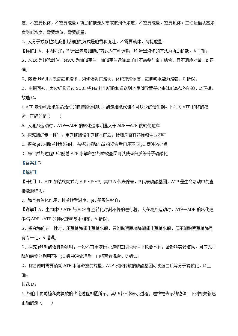 2024安徽省县中联盟高三上学期12月联考生物试题含解析03