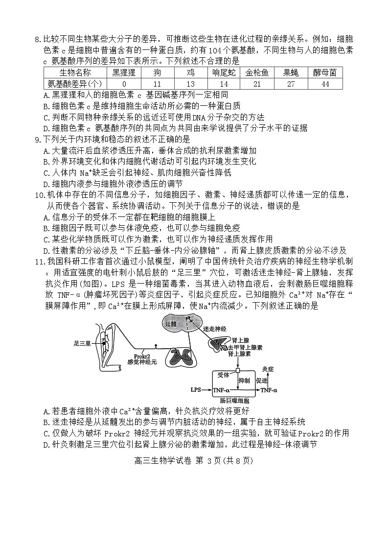 2024湖北省部分市州高三上学期期末联考生物试卷第3页