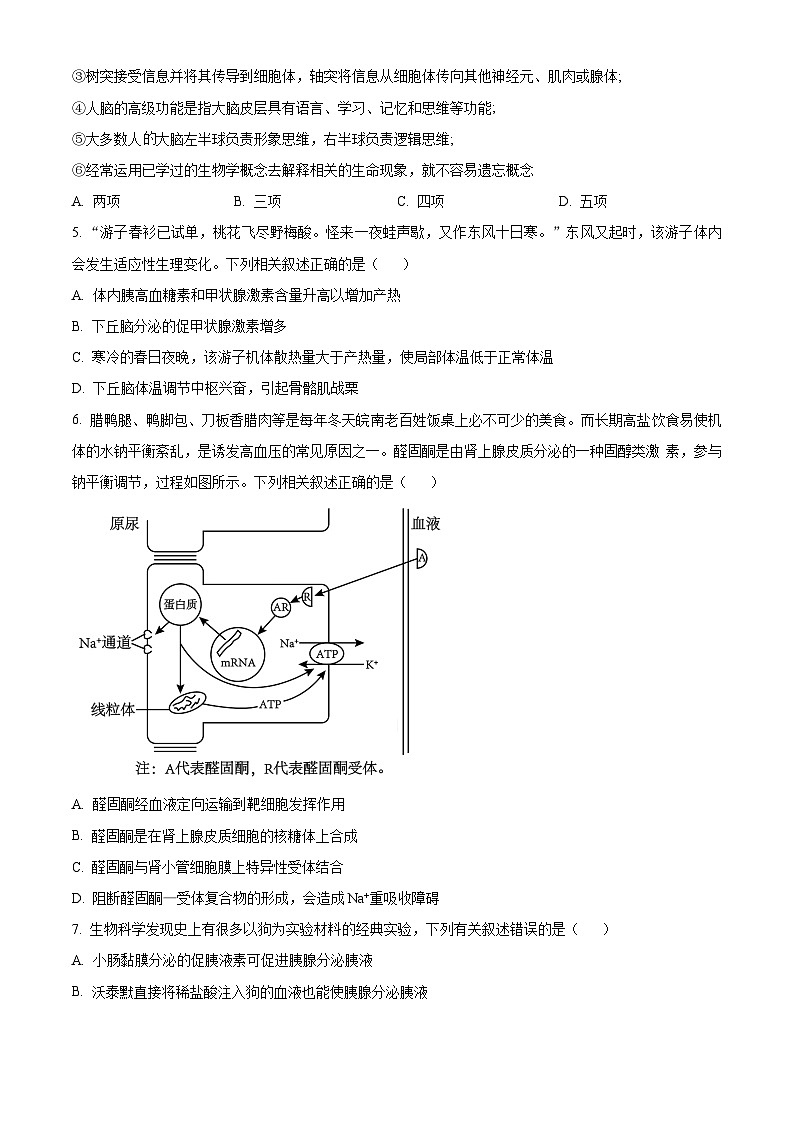 2024安徽省县中联盟高二上学期12月联考生物试题含解析02