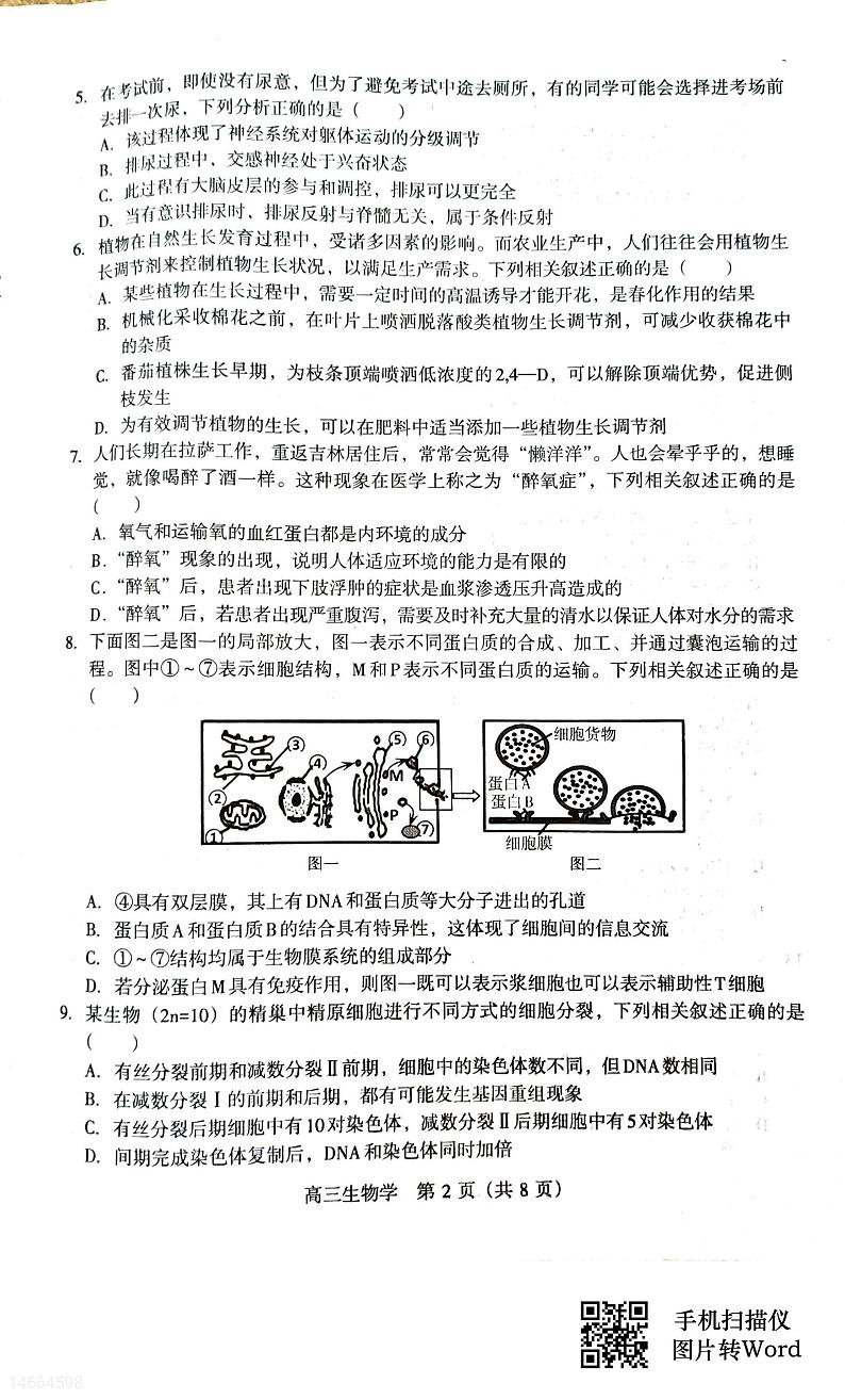 2024届吉林省白山市高三一模生物试题02