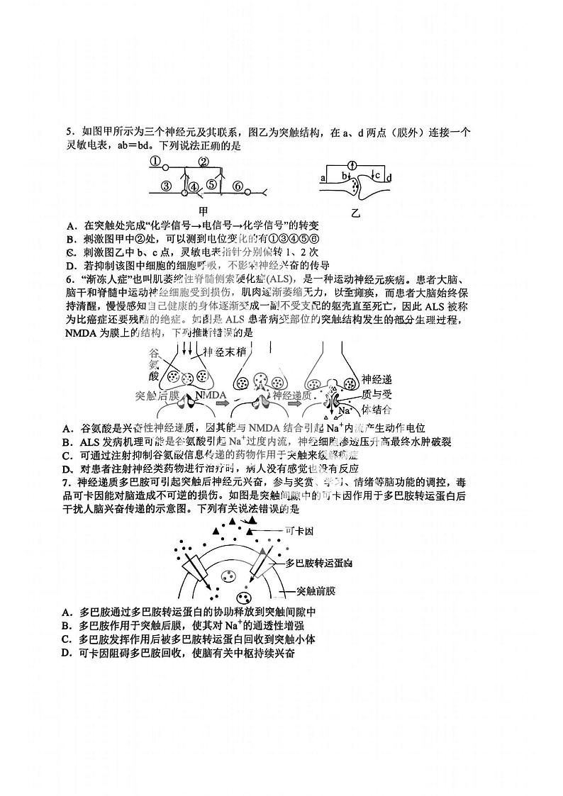 2023-2024哈九中高二（上）生物12月月考试题及答案第2页