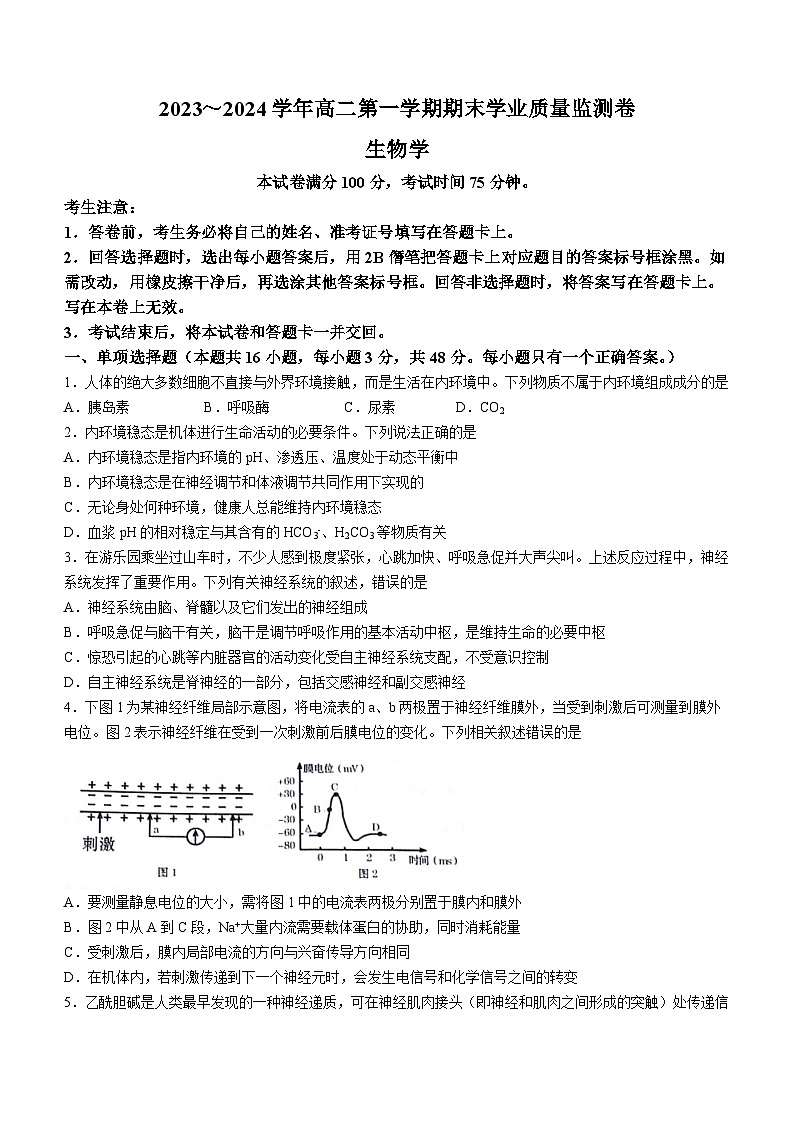 甘肃省2023-2024学年高二上学期期末生物试题01