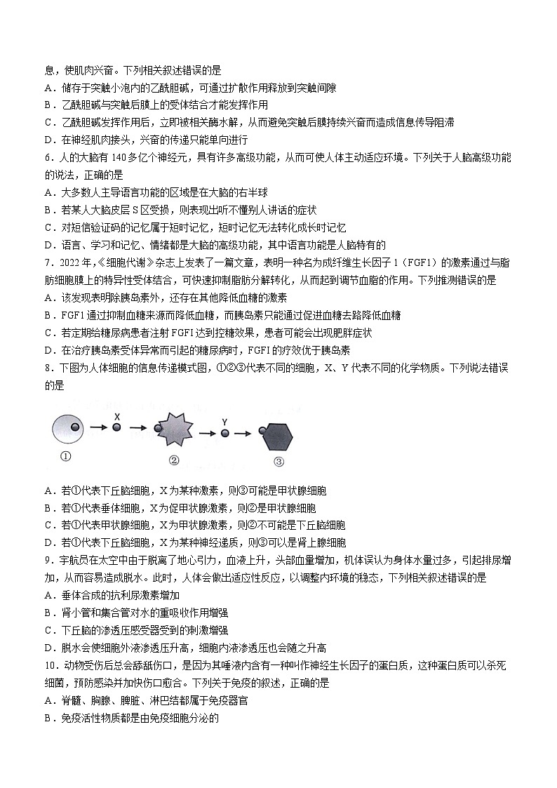 甘肃省2023-2024学年高二上学期期末生物试题02