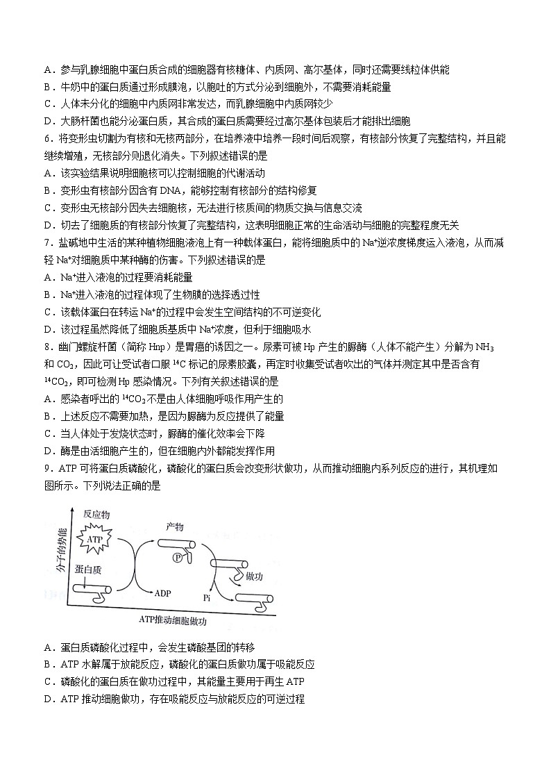 甘肃省2023-2024学年高一上学期期末生物试题02