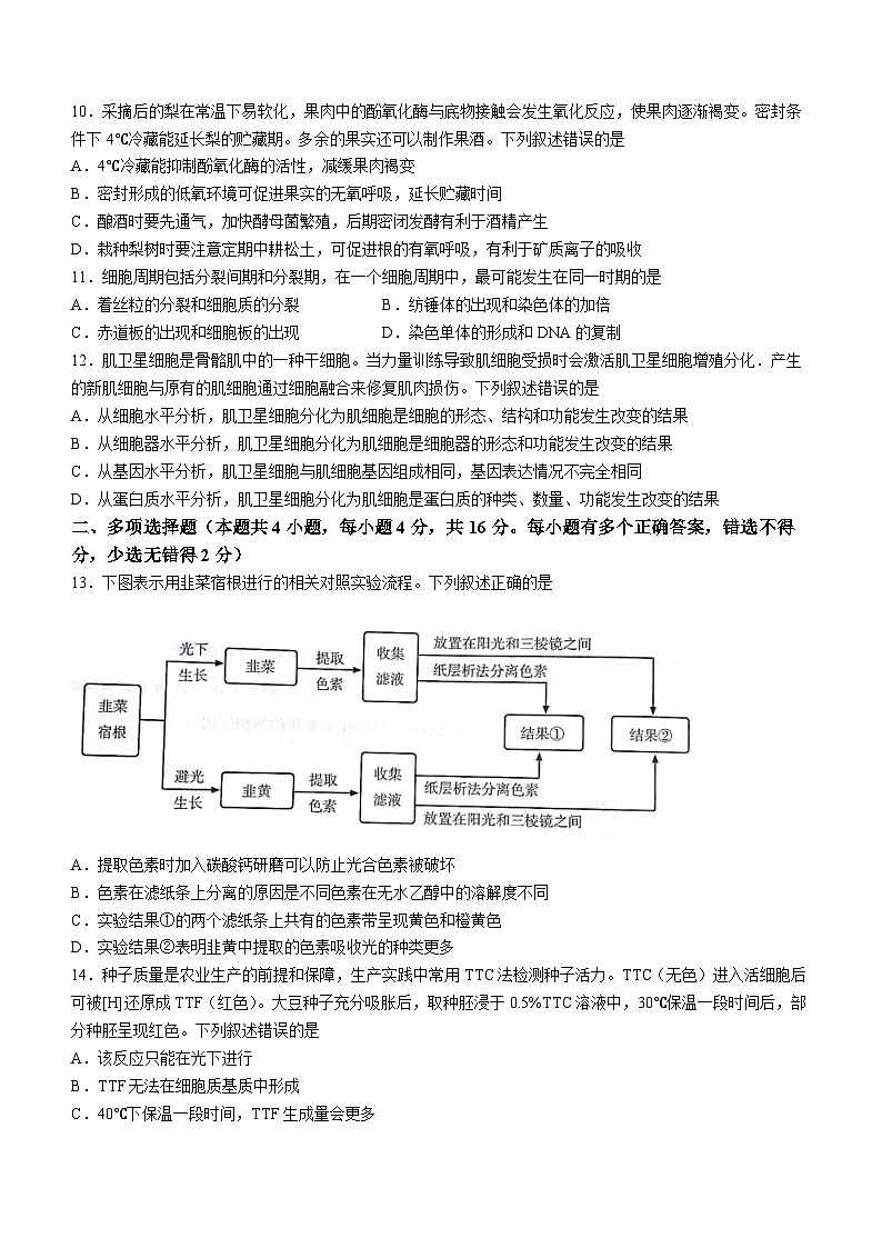 甘肃省2023-2024学年高一上学期期末生物试题03
