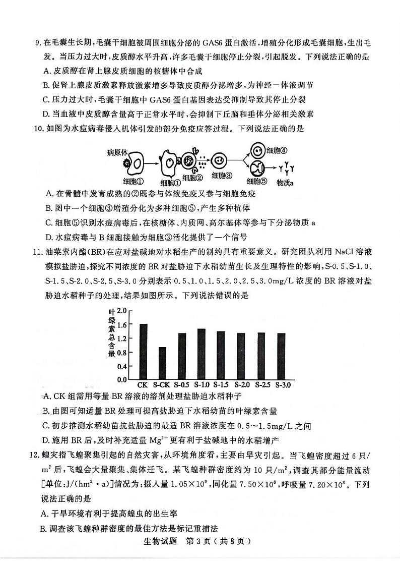山东省济宁市2023-2024学年高三上学期1月期末生物试题（无答案）第3页