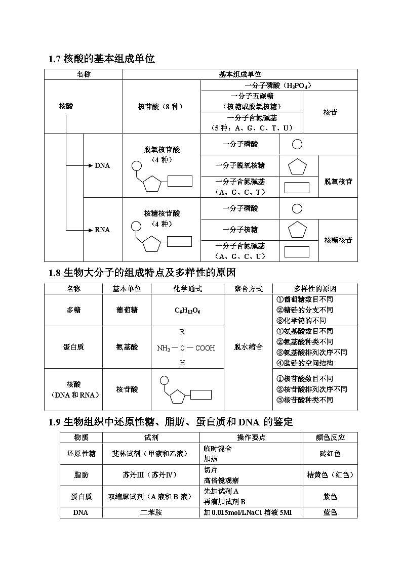 高中生物知识点总结(全)第3页