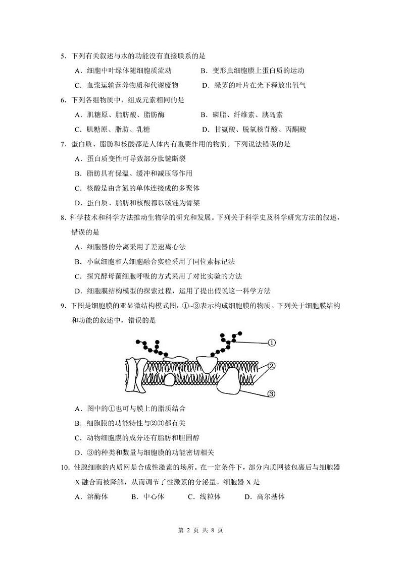 2024绵阳南山中学高一上学期期末热身考试生物PDF版含答案（可编辑）02