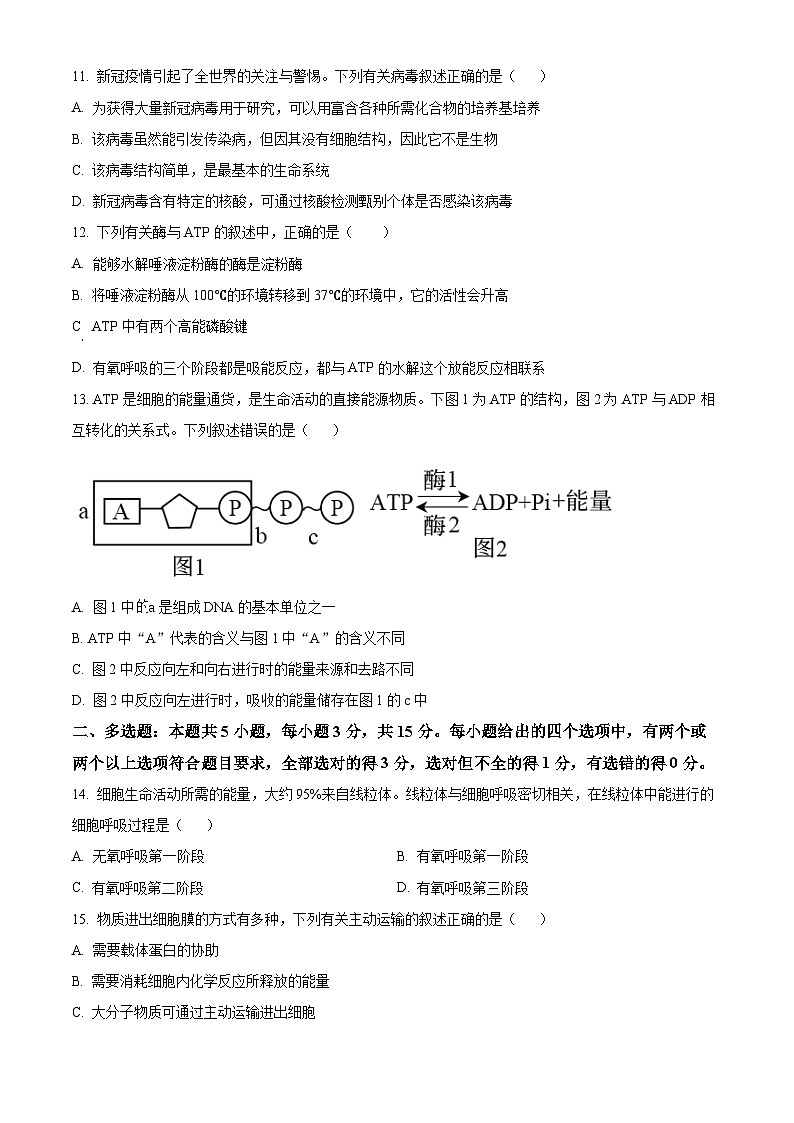 2024衡水武强中学高一上学期期末考试生物含解析03