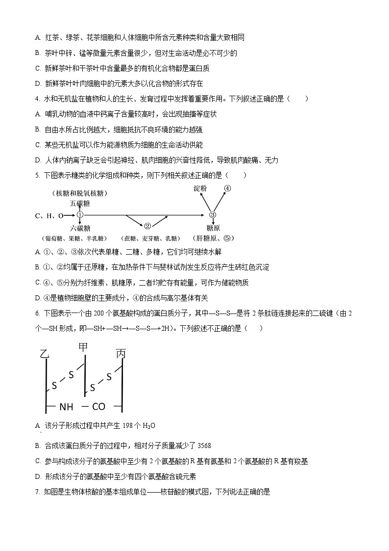 2024新乡原阳县一中高一上学期12月月考试题生物含解析02