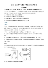 安徽省县中联盟2023-2024学年高二上学期12月联考生物试题（Word版附解析）