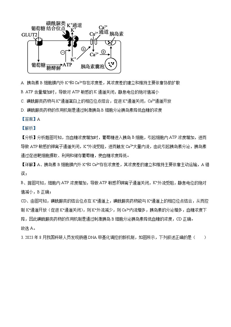 江西省五市九校协作体2023-2024学年高三上学期第一次联考生物试题（Word版附解析）第2页