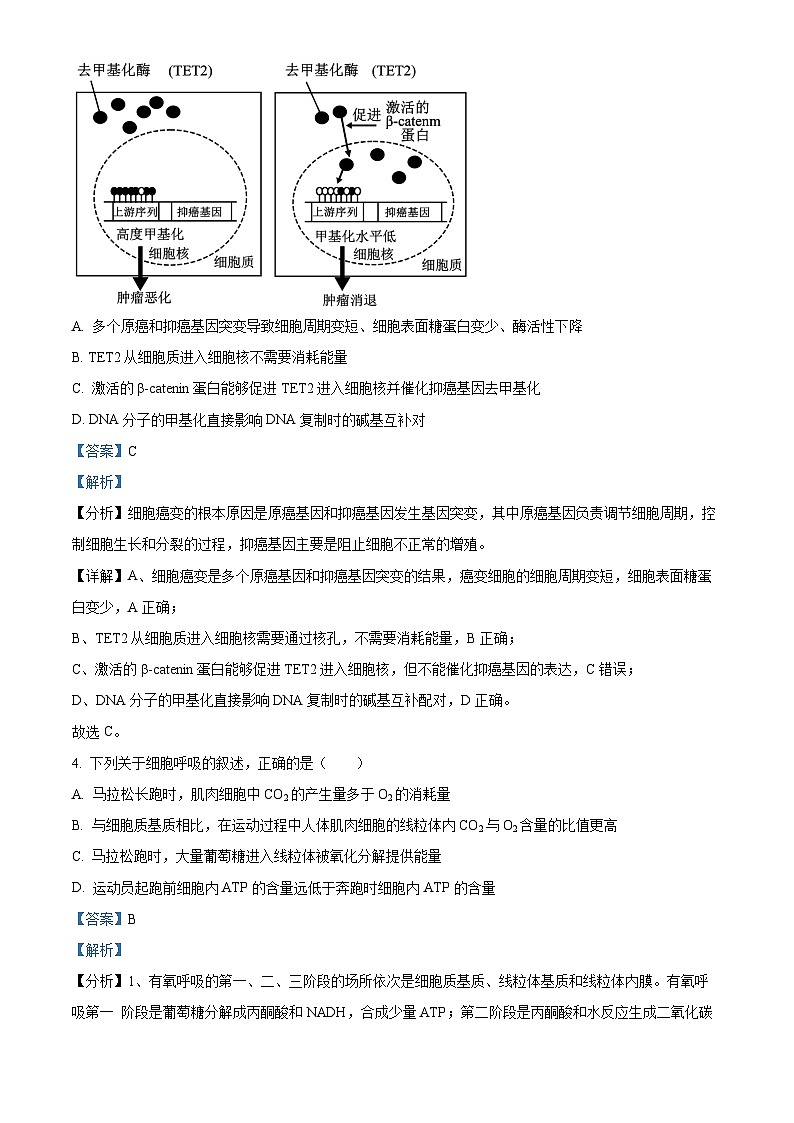 江西省五市九校协作体2023-2024学年高三上学期第一次联考生物试题（Word版附解析）第3页
