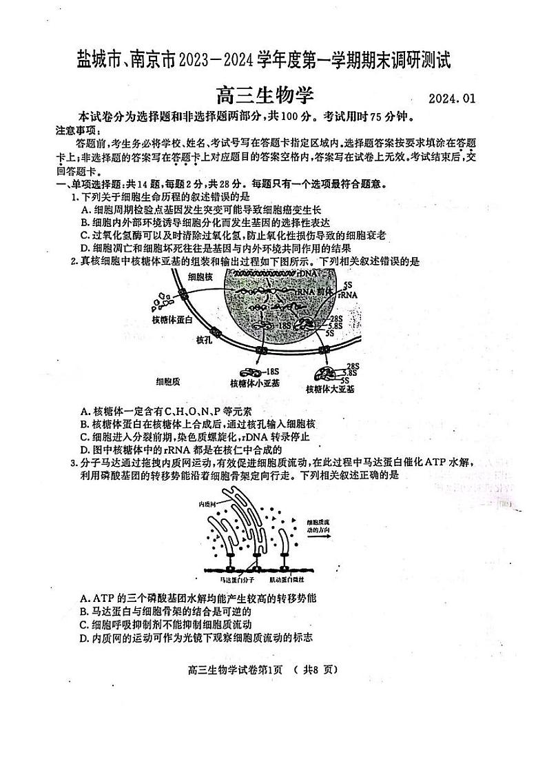 2024届江苏南京市、盐城市高三上学期第一次模拟考试生物试题01