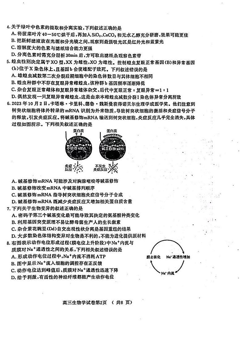 2024届江苏省南京市、盐城市高三上学期第一次模拟考试生物02