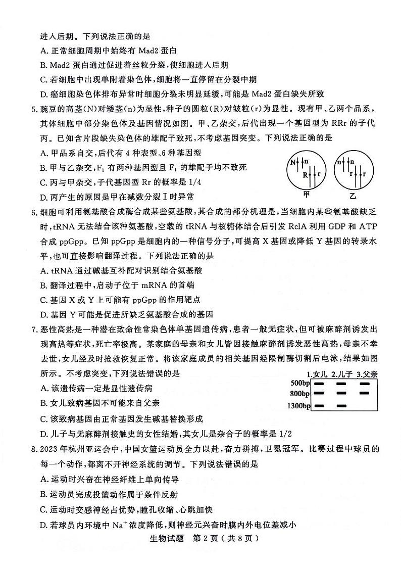 山东省济宁市2023-2024学年高三上学期1月期末生物试题第2页