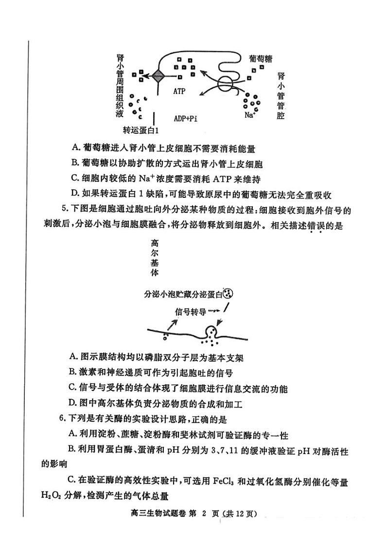 生物-2024届河南省郑州市高三上学期一模考试02