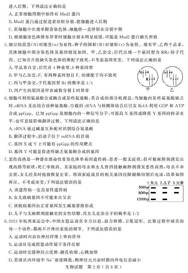 生物试题第2页