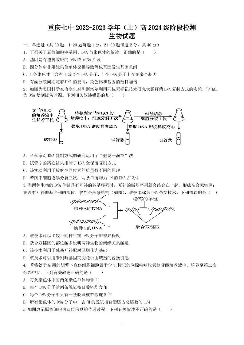 重庆市第七中学校2022-2023学年高二上学期期中考试生物试题01