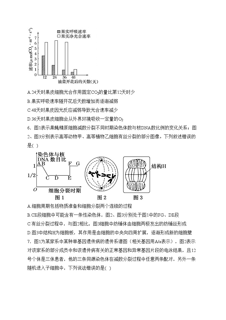 河北承德部分高中2024届高三上学期12月期中生物试卷(含答案)第2页