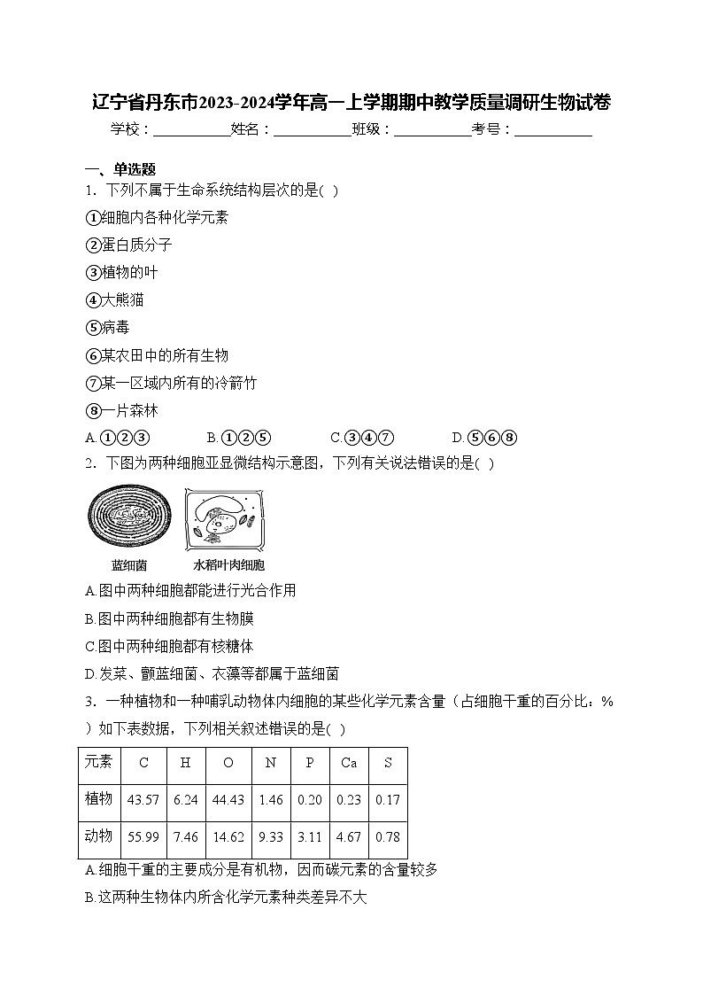 辽宁省丹东市2023-2024学年高一上学期期中教学质量调研生物试卷(含答案)01