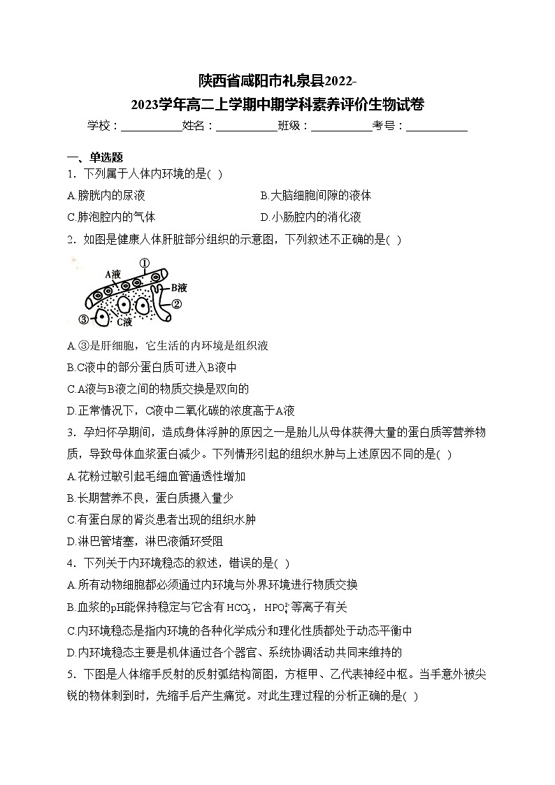 陕西省咸阳市礼泉县2022-2023学年高二上学期中期学科素养评价生物试卷(含答案)01