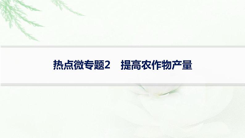 高考生物二轮复习热点微专题2提高农作物产量课件第1页