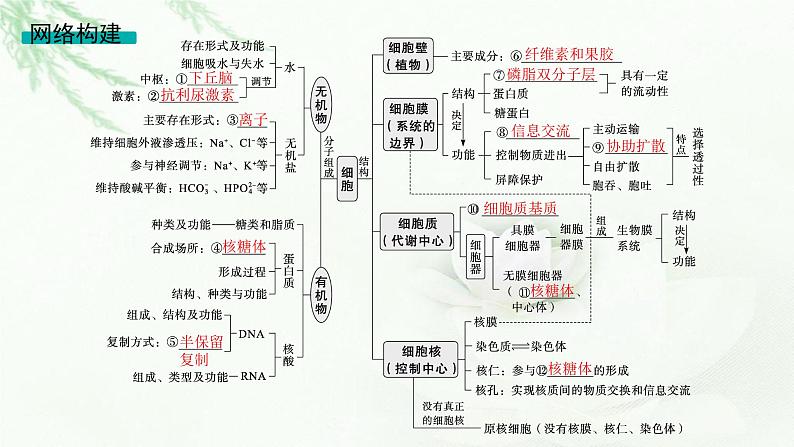 高考生物二轮复习专题1细胞的分子组成、结构与物质运输课件03