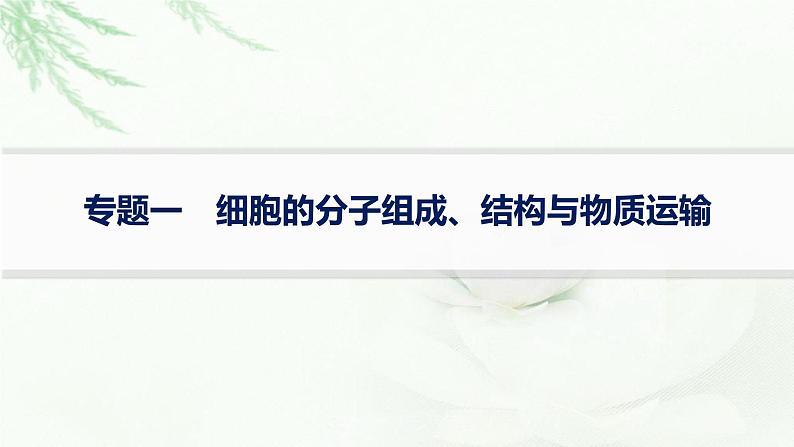 高考生物二轮复习专题1细胞的分子组成、结构与物质运输课件01