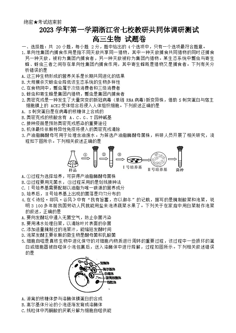 2024浙江省七校教改共同体高三上学期1月联考试题生物含解析01