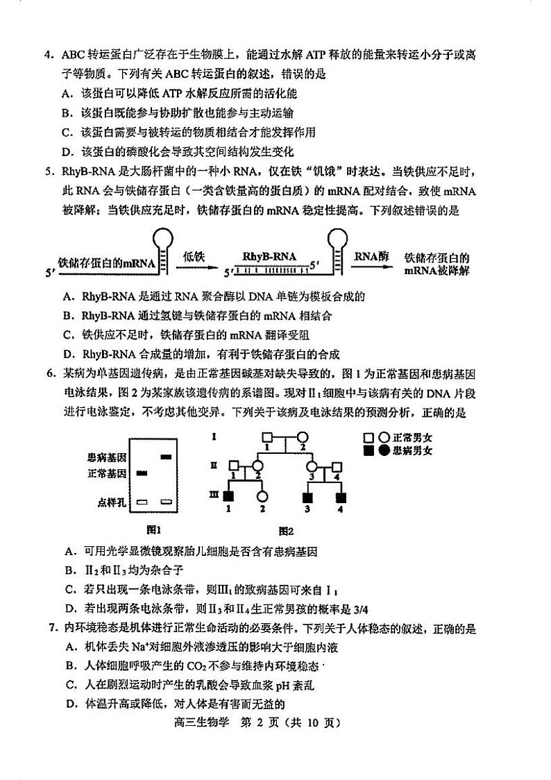 2024沈阳高三上学期教学质量监测（一）生物PDF版含答案02