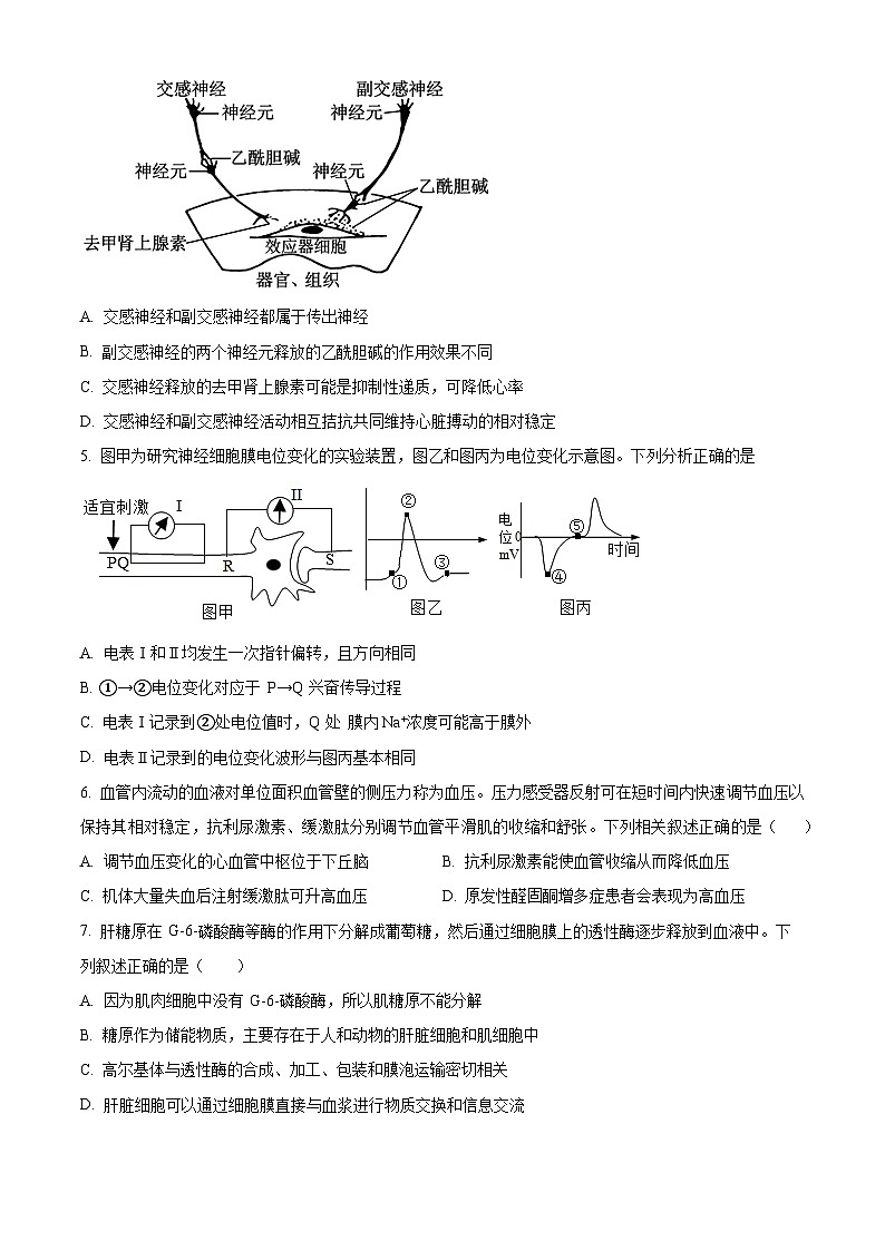 2024启东东南中学高二上学期第二次质量检测试题生物含解析第2页