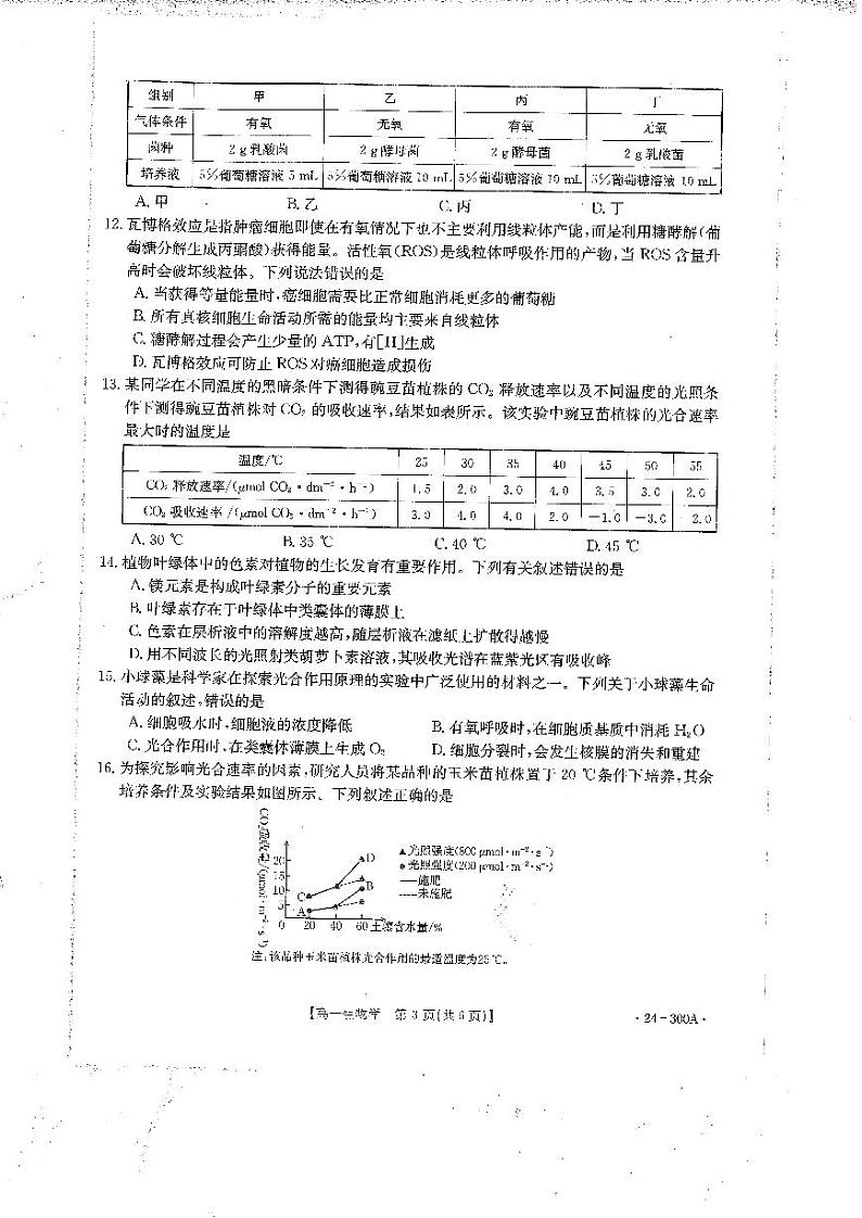 2024雅安中学高一上学期1月月考试题生物PDF版含答案02