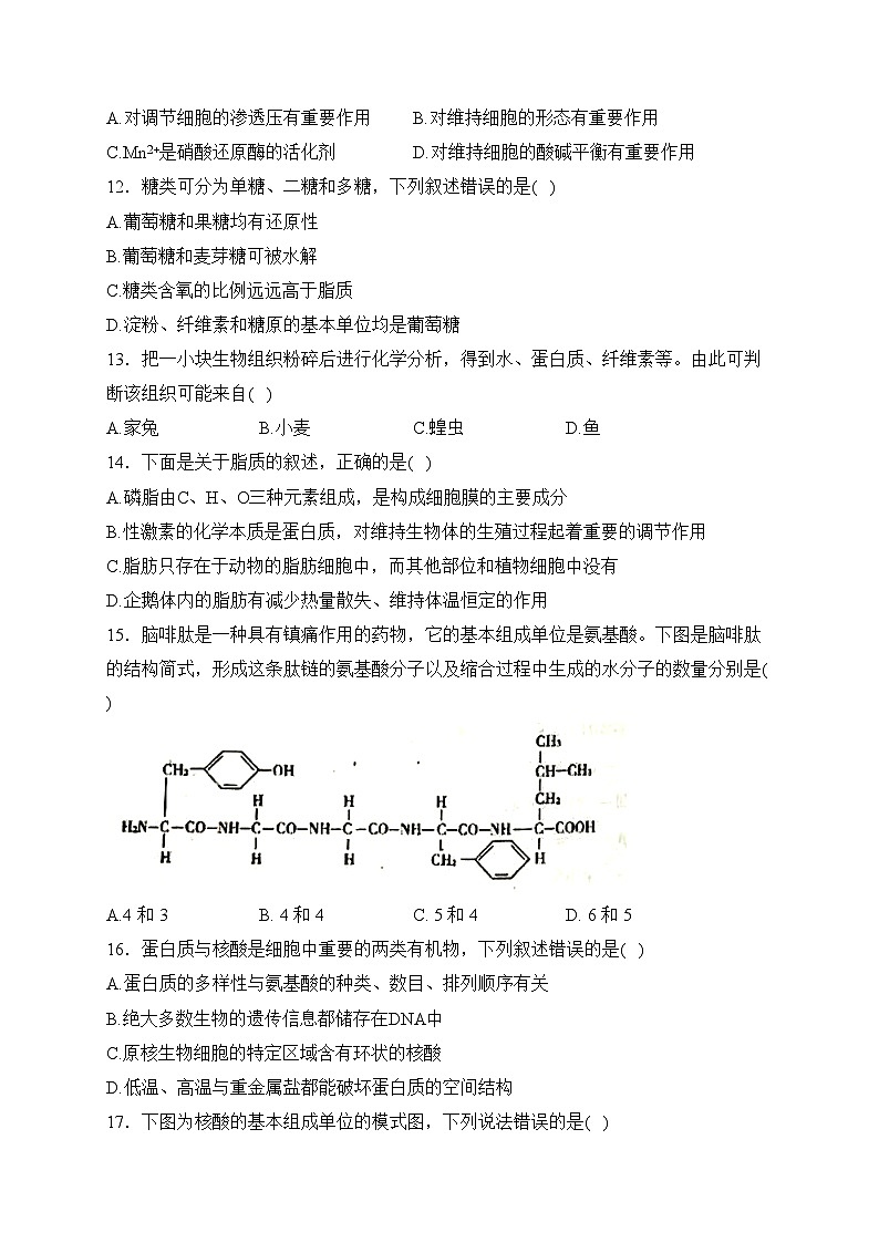 重庆市三峡名校2023-2024学年高一上学期秋季联考生物试卷(含答案)第3页