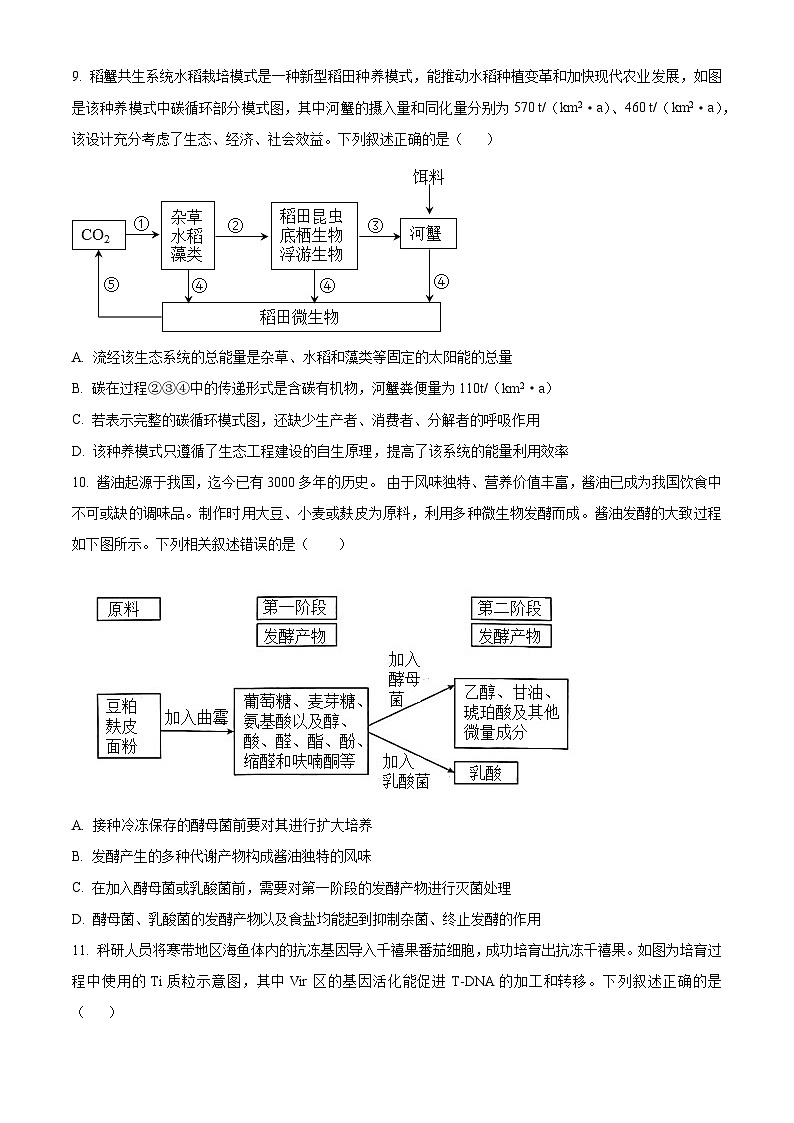 精品解析：湖南省衡阳市八中2023-2024学年高三12月月考生物试题（原卷版）第3页