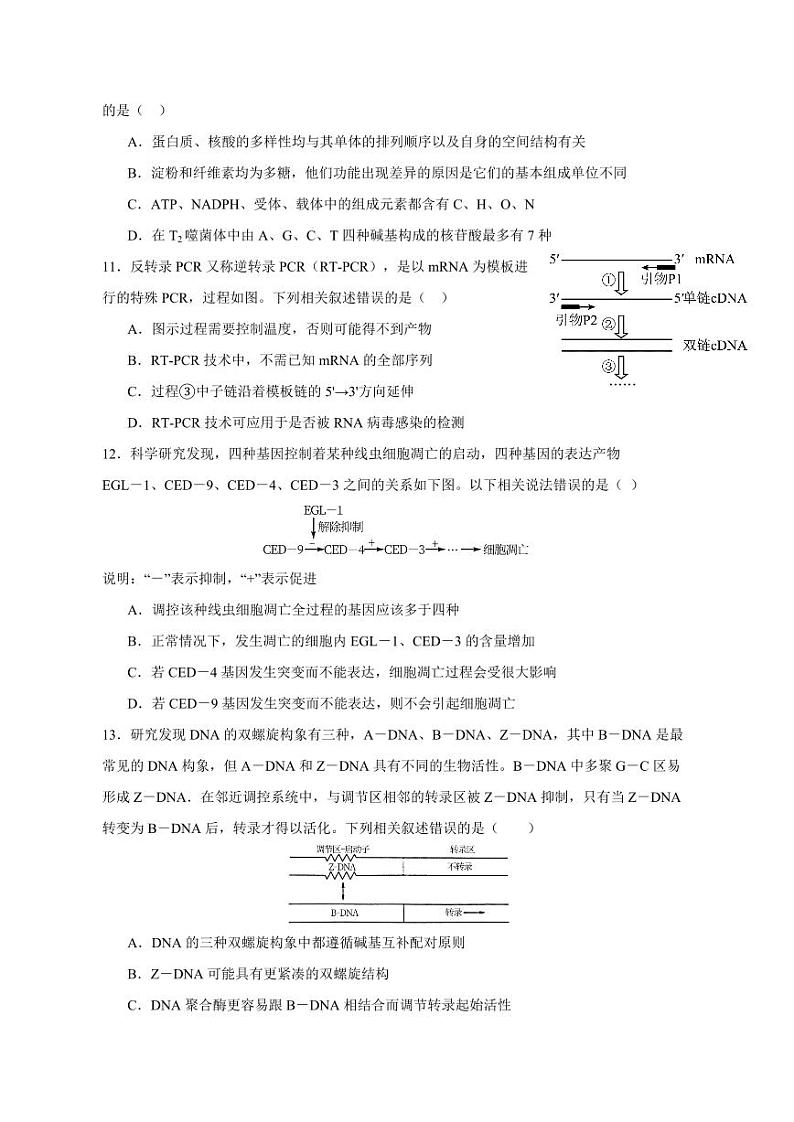 2024届重庆市乌江新高考高三下学期生物模拟试题（一模）含答案03
