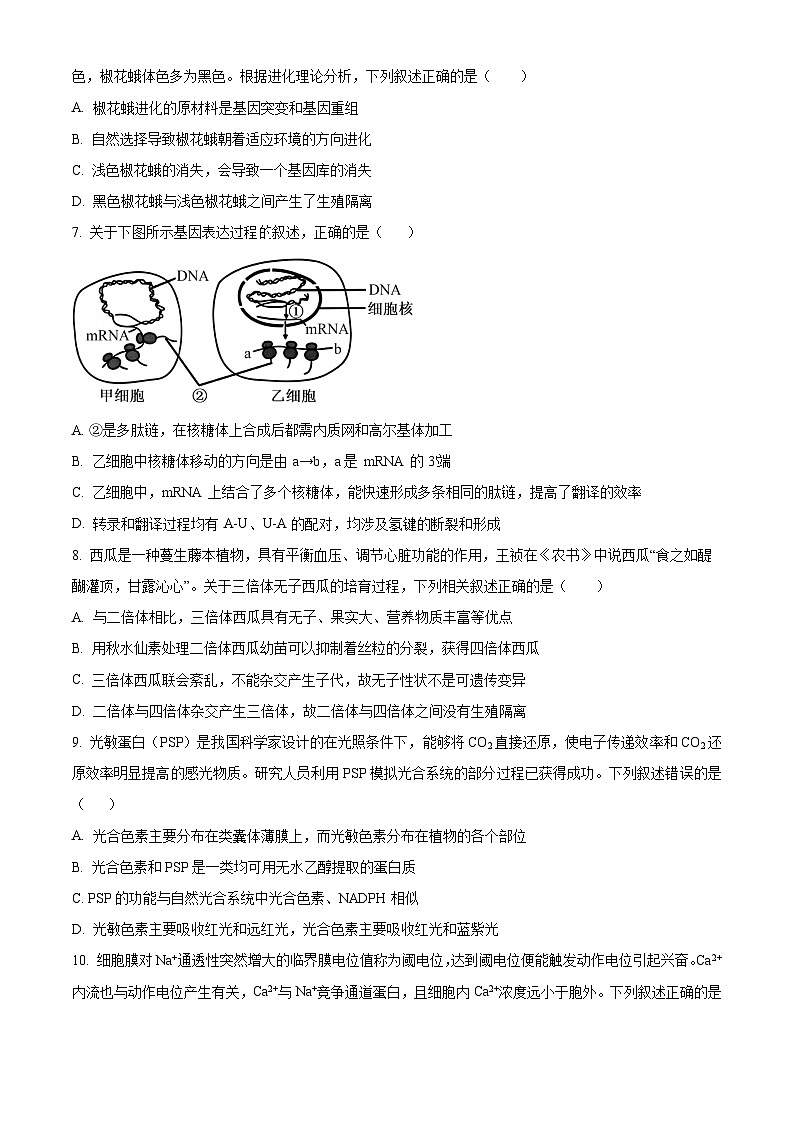 2024鞍山普通高中高三上学期期末联考试题生物含解析第3页