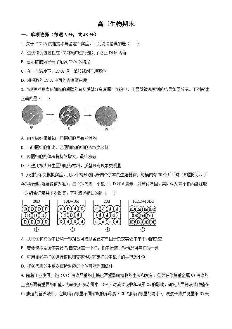 2024通化梅河口五中高三上学期1月期末考试生物含解析第1页