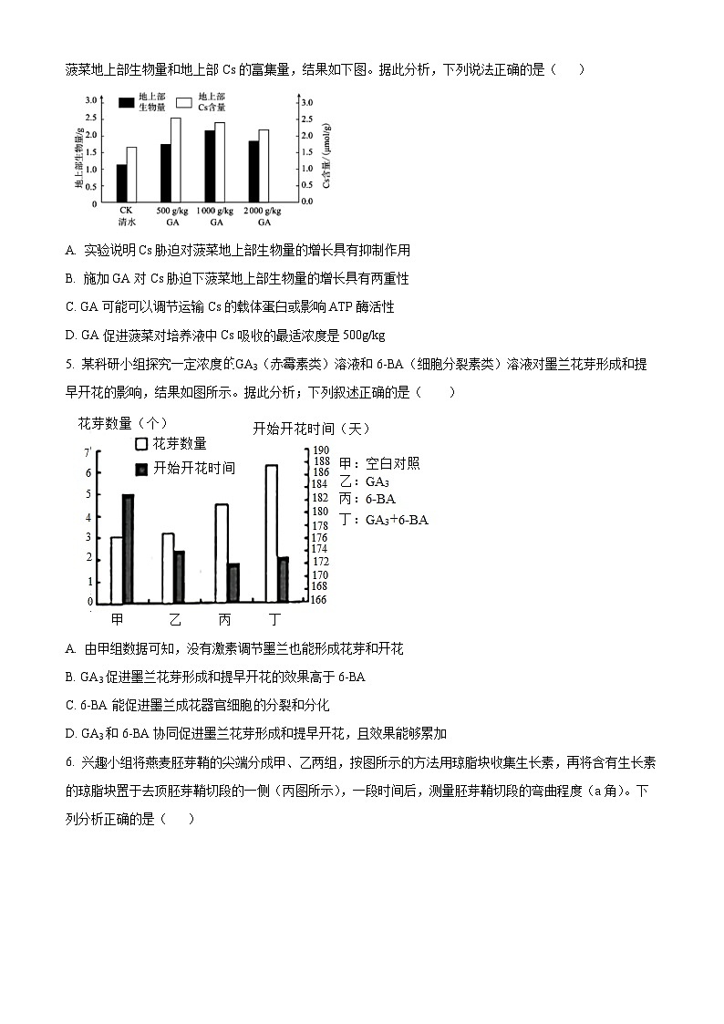 2024通化梅河口五中高三上学期1月期末考试生物含解析第2页