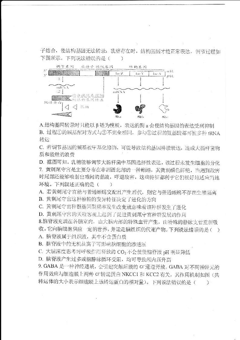 2024德州一中高三上学期1月期末考试生物PDF版含解析第3页