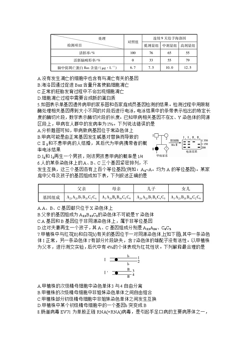 2024安徽省皖豫名校联盟高三上学期第二次联考试题生物含解析02