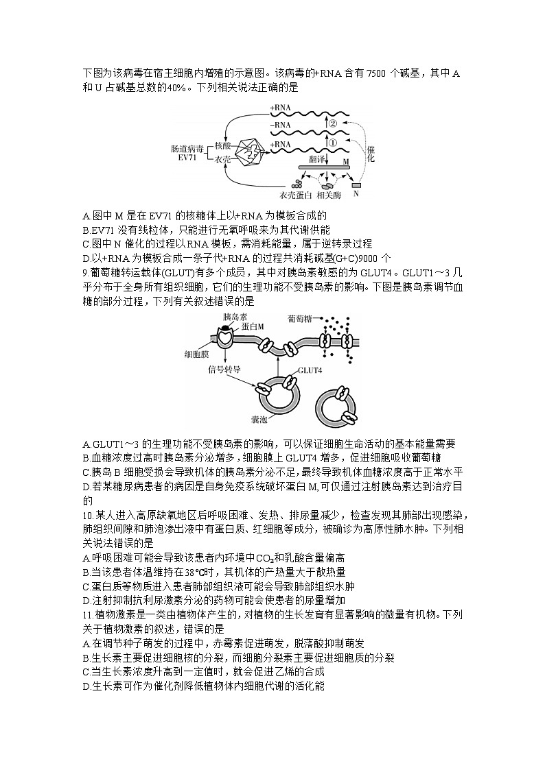 2024安徽省皖豫名校联盟高三上学期第二次联考试题生物含解析03
