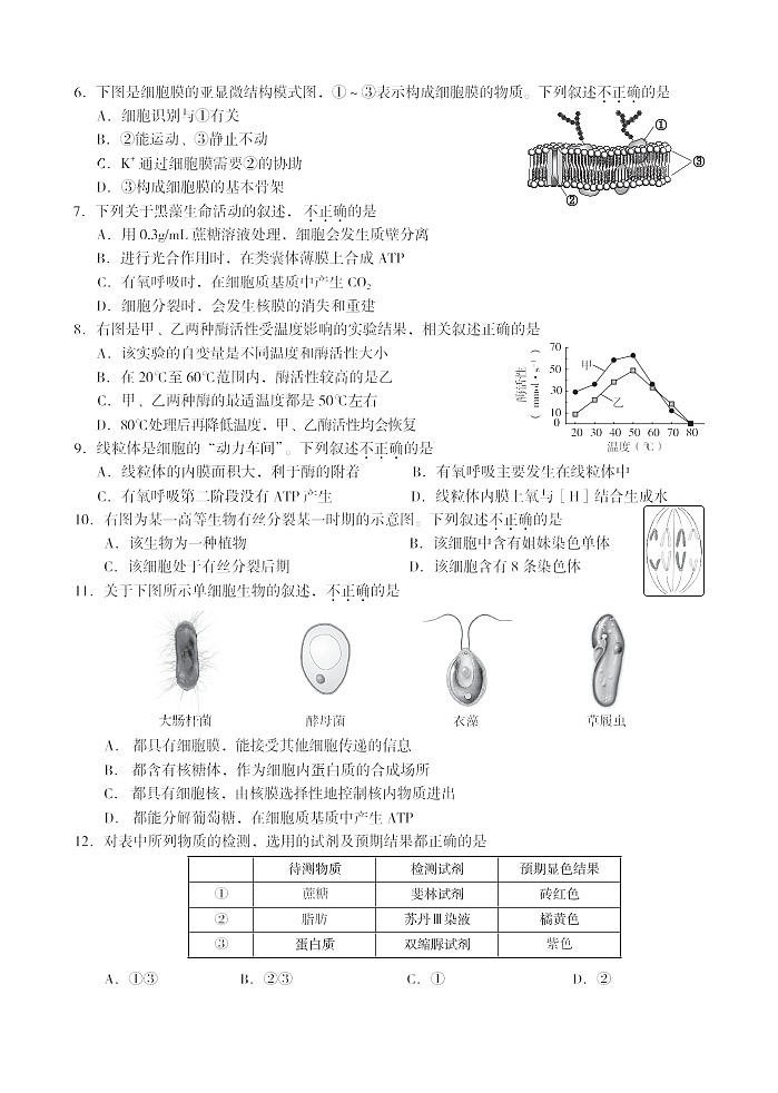 2024年北京海淀区高一上学期期末生物试题及答案第2页